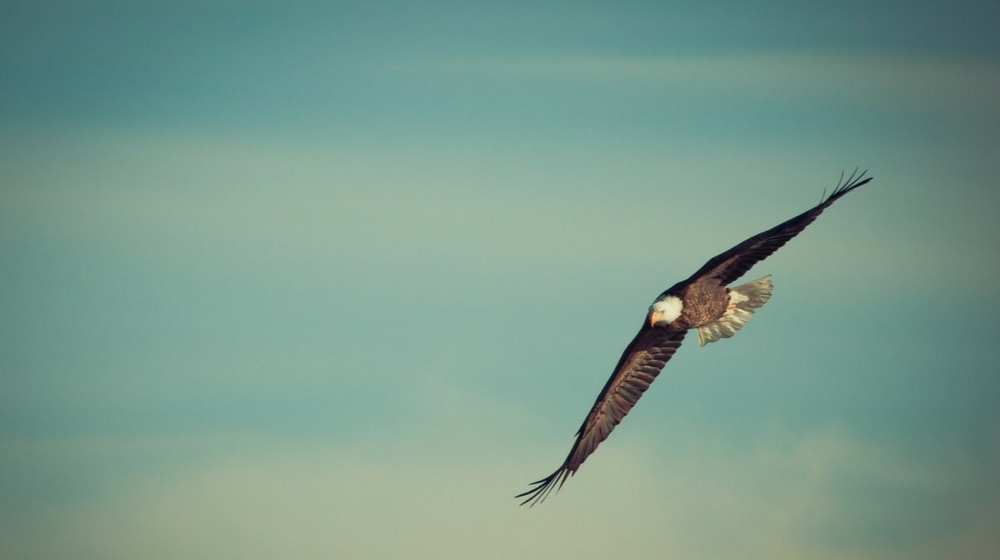 Bookkeeping software rental property advantage accounting device software