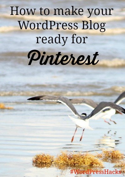 Make WordPress Blog Ready for Pinterest