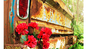 css tricks for opacity