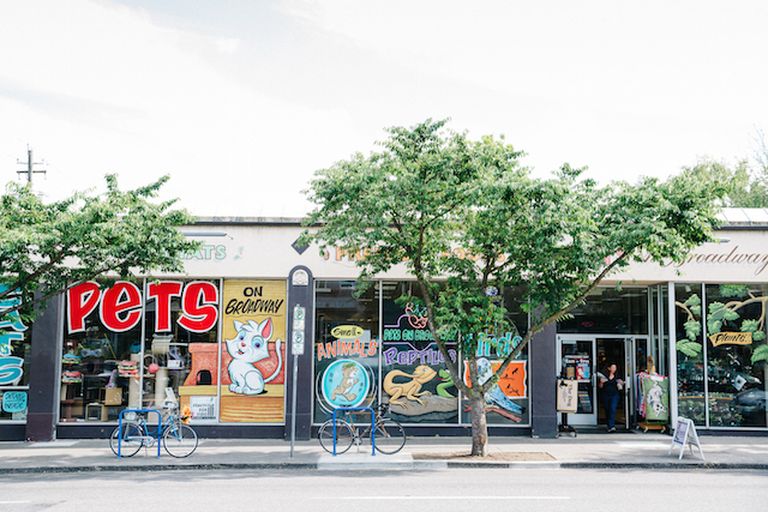 Local pet store keeps Portland puppies and guppies wellsupplied