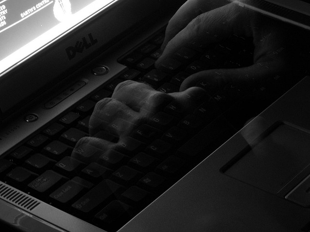 Person Typing on Laptop