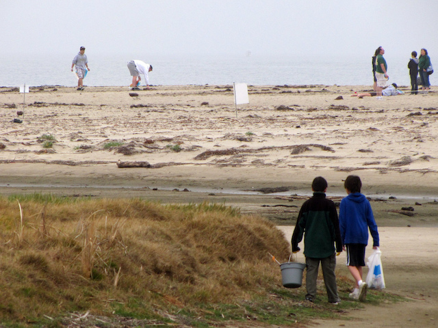 Volunteering Beach Cleanup