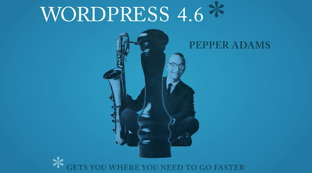 WordPress 4.6 Business Solution