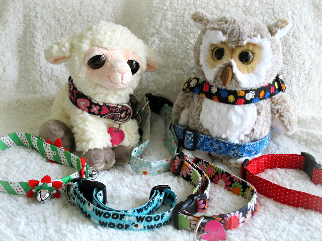 Social Media Marketing for Pet Stores Collars