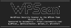How to Use WP Scan