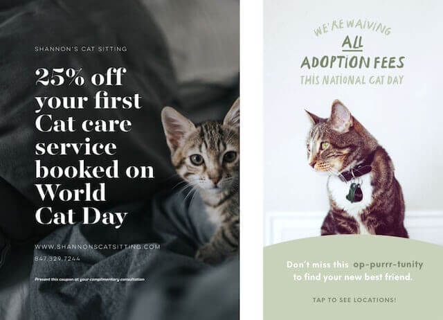 GoDaddy Studio template  celebrating cat day