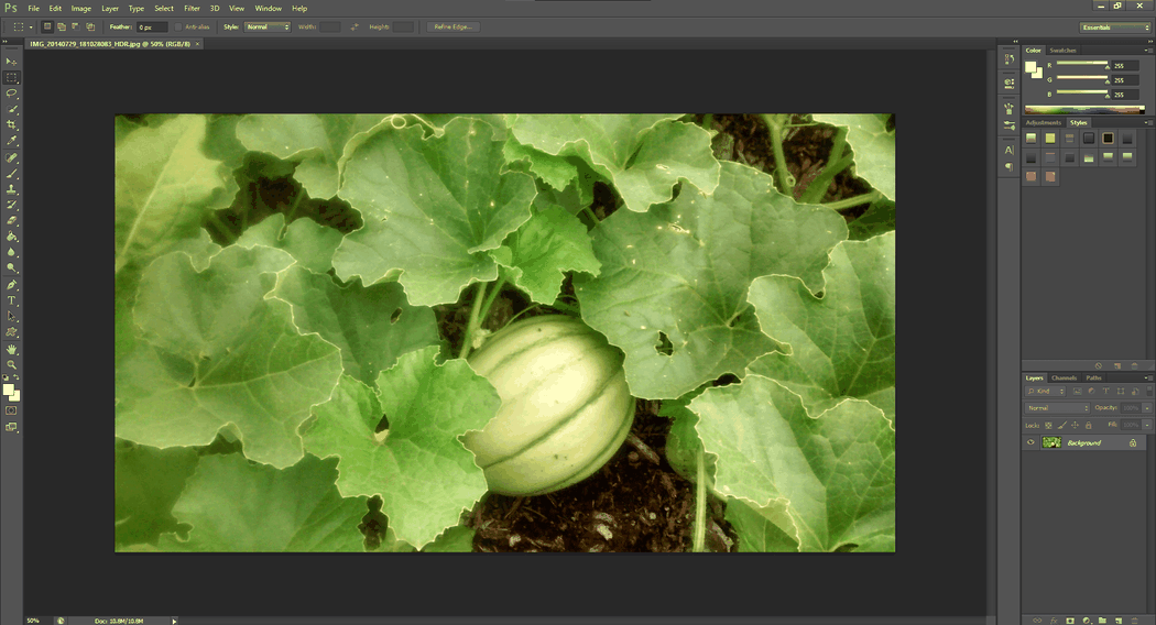 Image Optimization for WordPress Photoshop