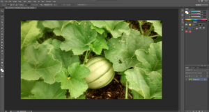 Image Optimization for WordPress with Gimp