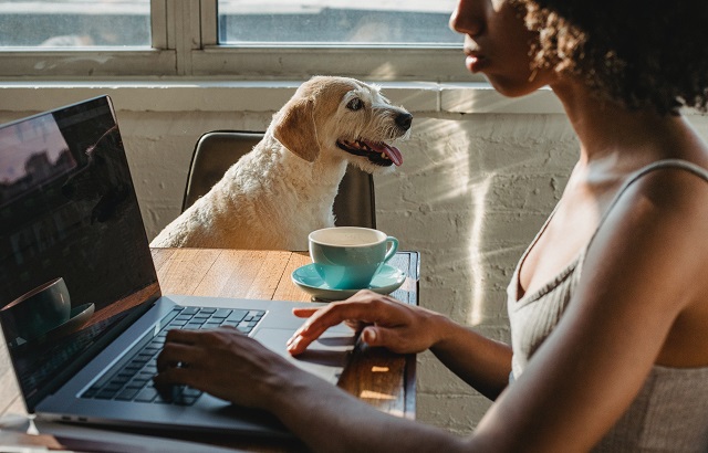 Woman using computer with dog sitting nearby