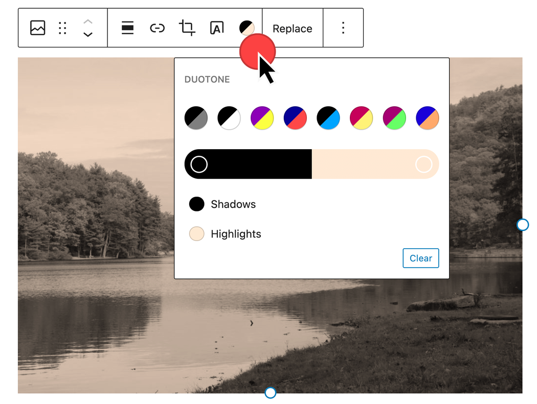 select the duotone option from the image block toolbar