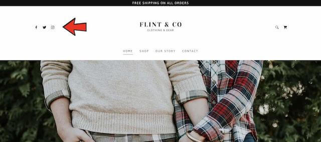 Flint Co Web Image Example