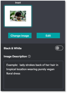 Screenshot showing where to add image alt text in GoDaddy Website Builder