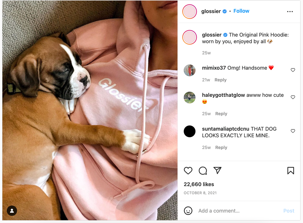 Glossier Instagram post of a puppy on their sweater merch