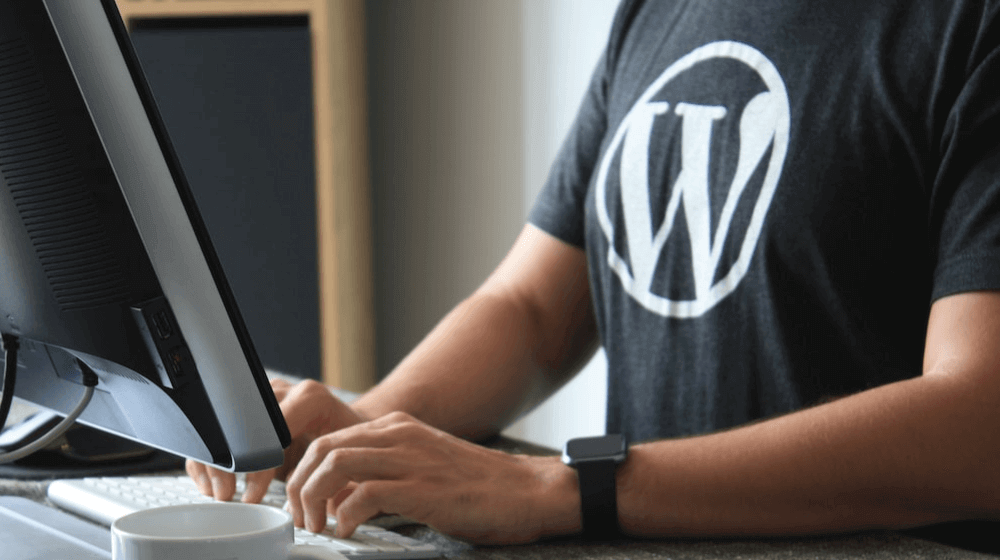 TwentyTwentyThree: A WordPress theme wanting towards the long run