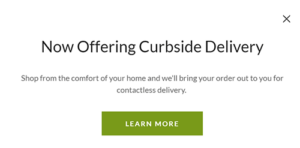 Websites + Marketing Popup