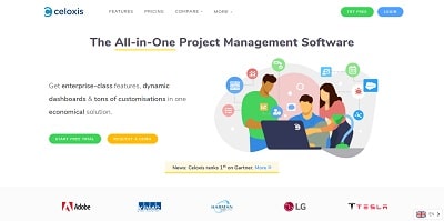 Best Project Management Software Celoxis