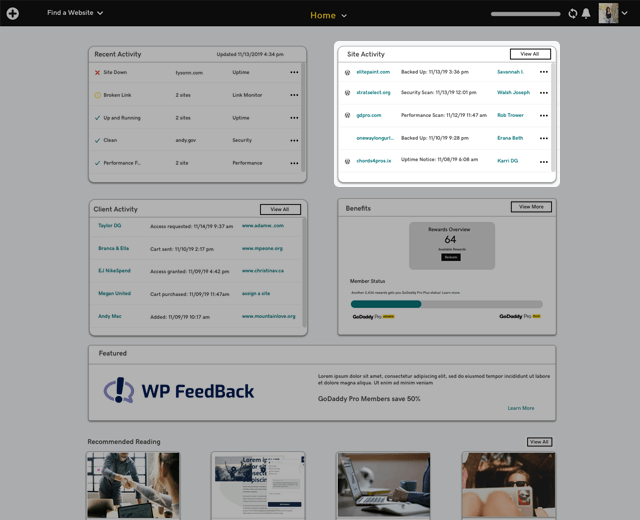 GoDaddy Pro - Site Activity
