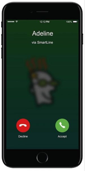 GoDaddy SmartLine Business Call