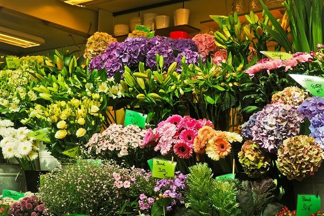 Home And Garden Store Sale
