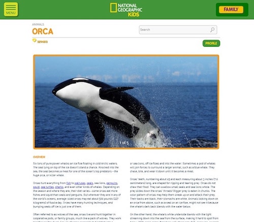 Come progettare un sito web National Geographic