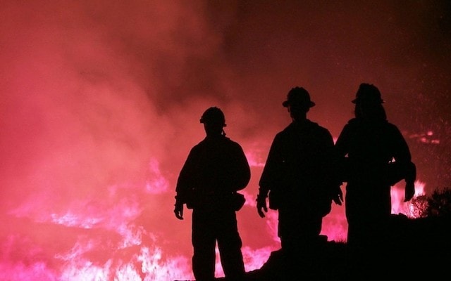 Insurance Industry Trends Wildfire