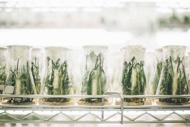 Science Incubators Samples