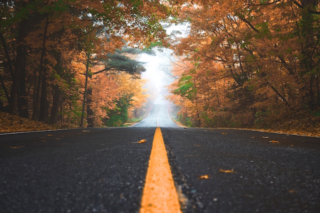 Sell Cars Online Road