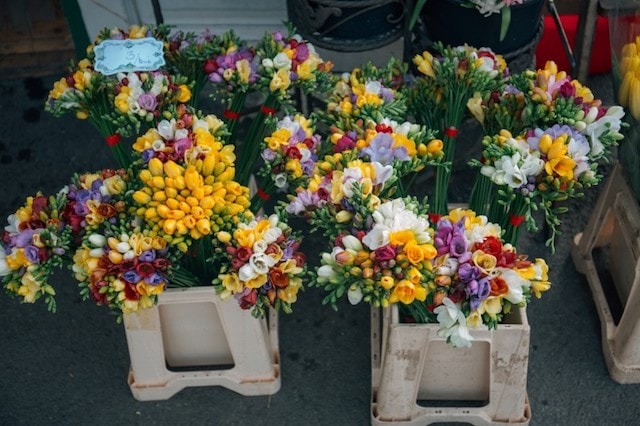 Sell Flowers Online Display