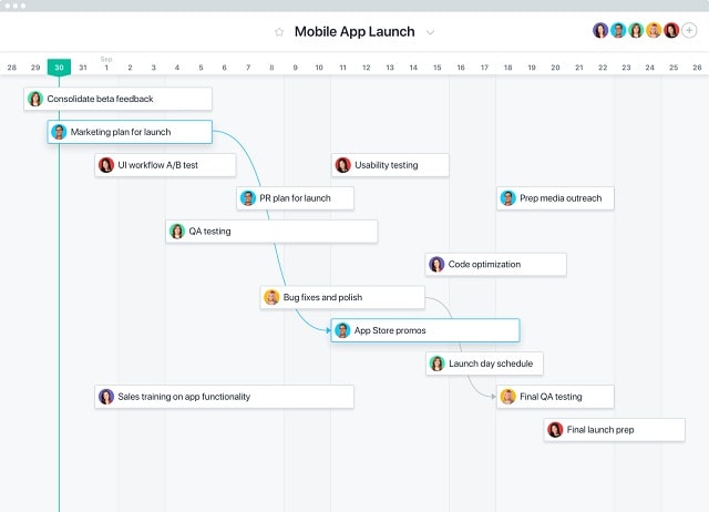 Team Management Tools Asana