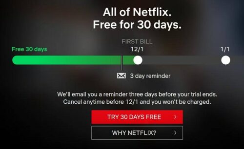 What Is A Business Model Netflix