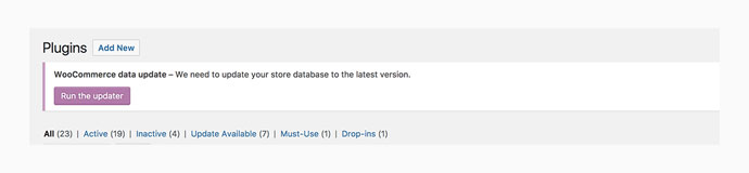 woocommerce database update