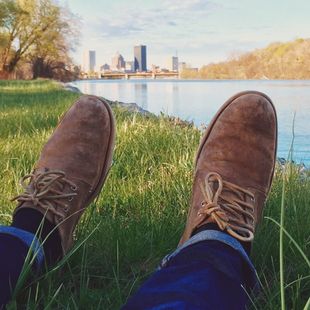 WordPress Automation Relax