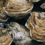 Small World Seafood still taking orders after shifting to online model