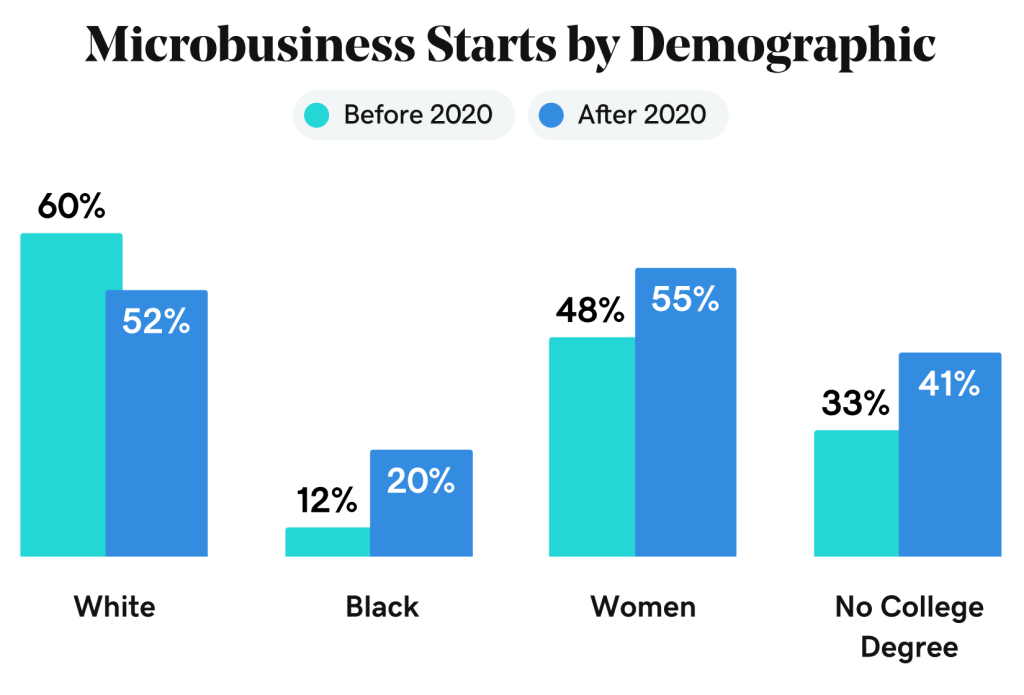 Microbusiness Starts by Demographic