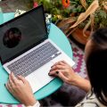 Microbusiness Owner In UK