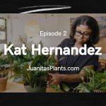 Juanita's Plants Solopreneur Microbusiness Infographics