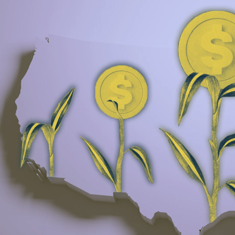 Dollar sign plants growing across a US map