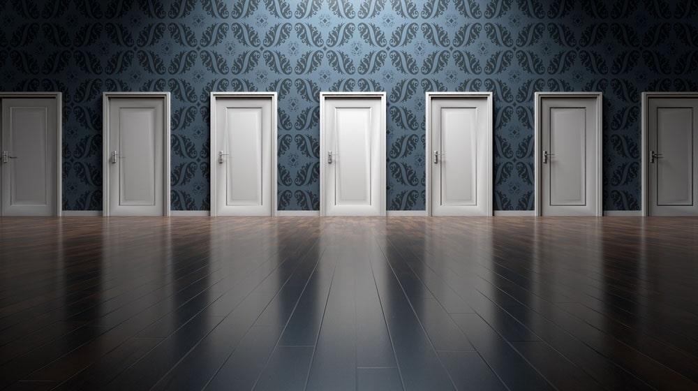 Doors Represent Business Model Options
