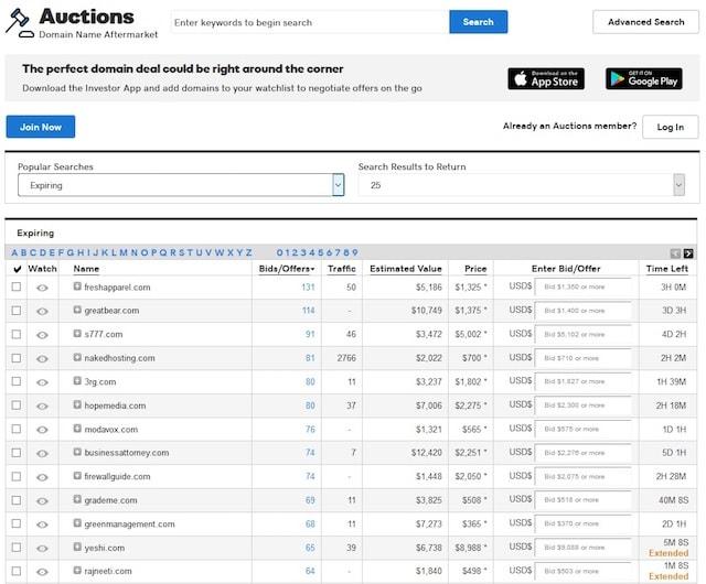Screenshot of Expired Domains Auctions Page