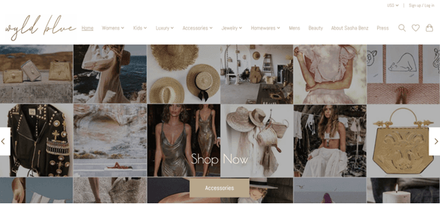 wyldblue.store home page