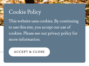 GoDaddy's website builder cookie policy