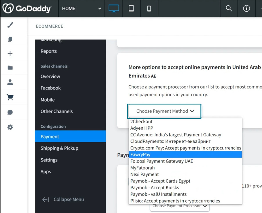 Screenshot of the GoDaddy E-store Fawry payment in the United Arab Emirates