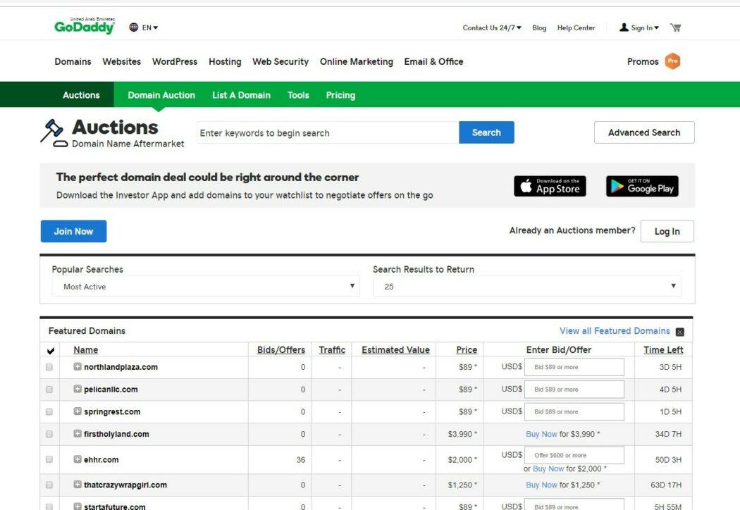 GoDaddy domain name auction