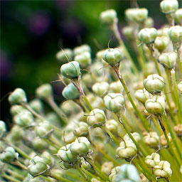 Redirection WordPress plugin