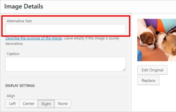 وظيفة تحميل نص بديل للصور على ووردبريس