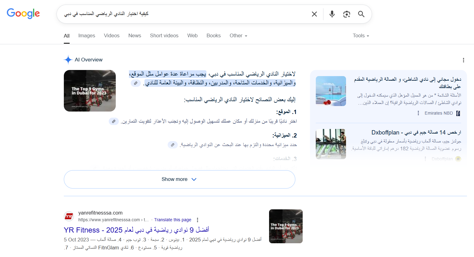 مثال على النظرة العامة للذكاء الاصطناعي (AIO)