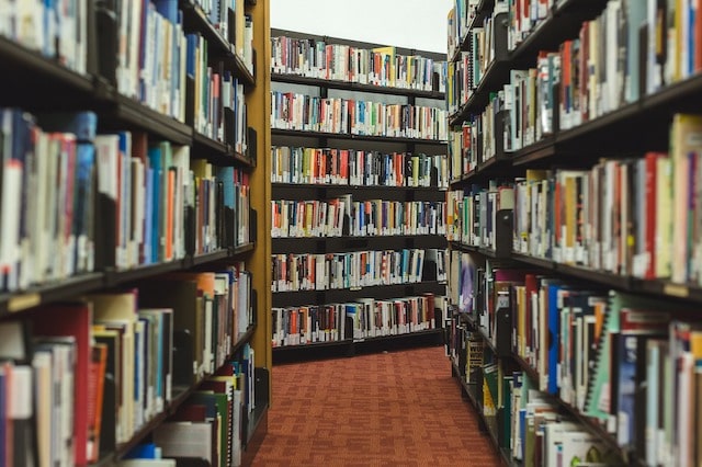 Bookshelves In The Library