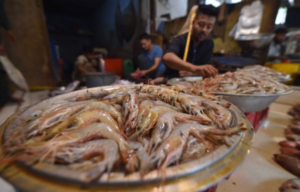 SEAFOOD VENDOR AT A MARKET IN KARACHI