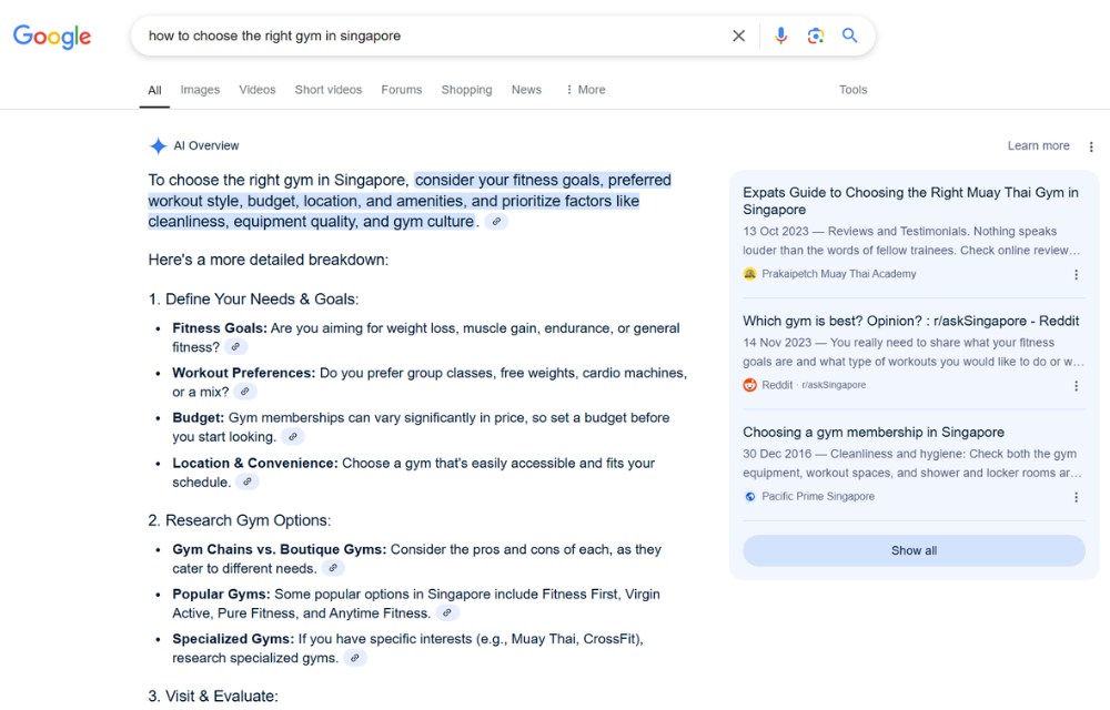 EXAMPLE OF AI OVERVIEWS (AIO).