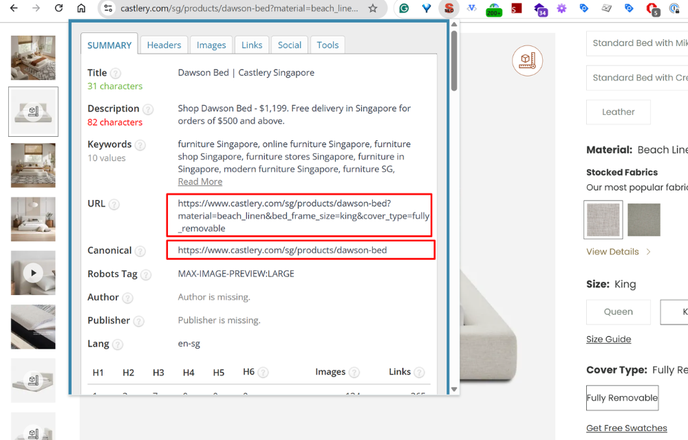 A PARAMETER PRODUCT PAGE URL CANONICALIZED TO ROOT PRODUCT PAGE
